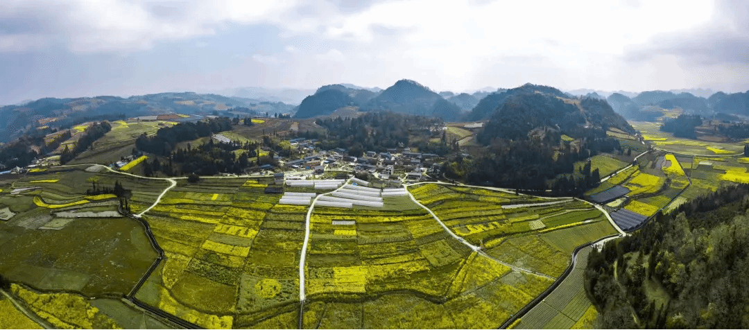 尊龙Z6 - 尊龙网址在线登陆官网