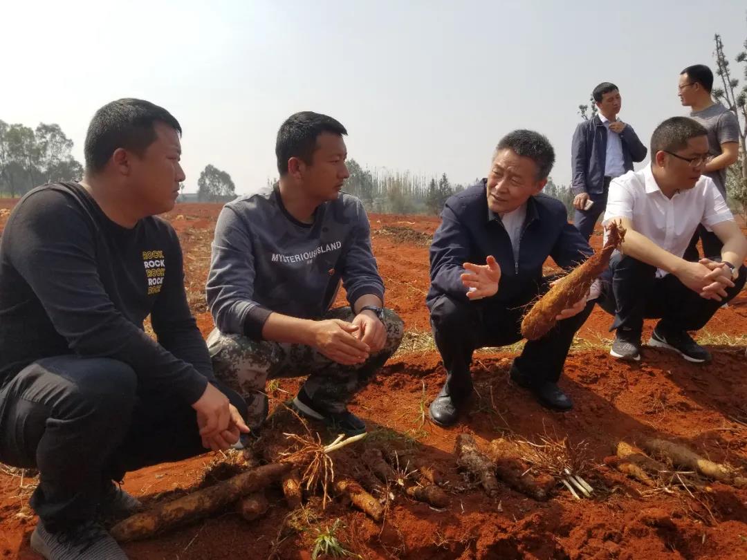 尊龙Z6 - 尊龙网址在线登陆官网