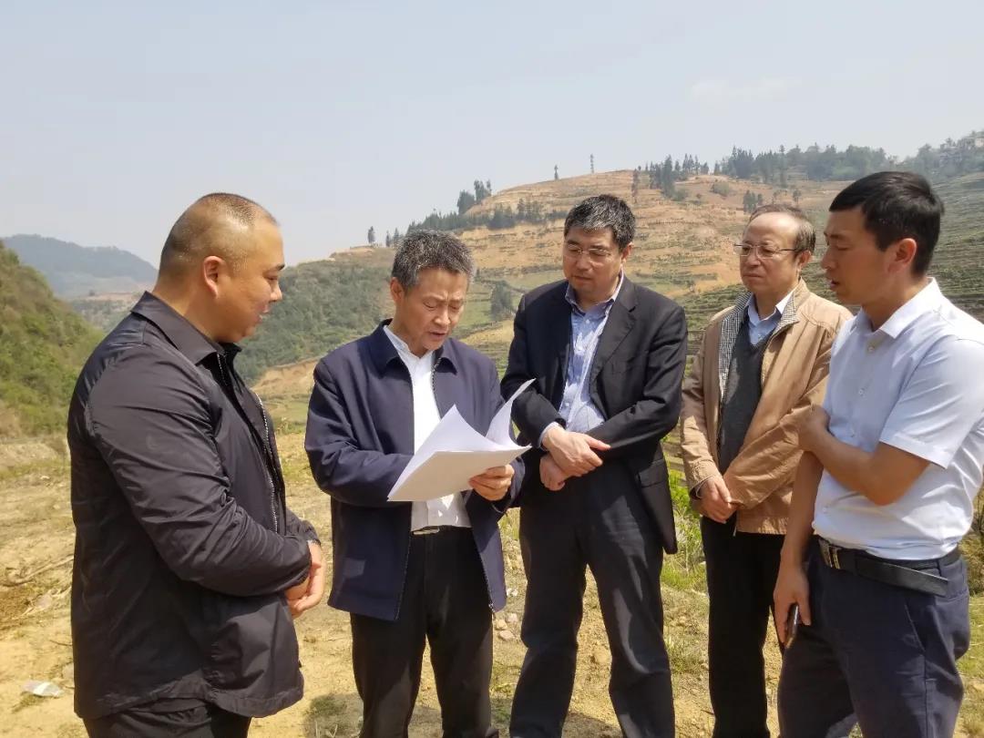 尊龙Z6 - 尊龙网址在线登陆官网